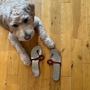 Used Giuseppe Zanotti 37 leather thong flat sandals with stones